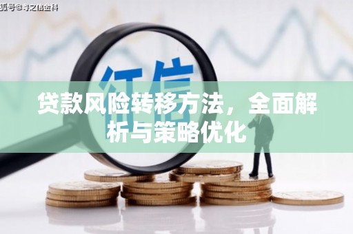小金贷款风险转移方法，全面解析与策略优化