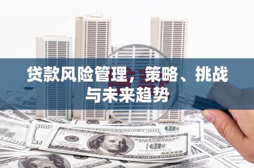 小金贷款风险管理，策略、挑战与未来趋势