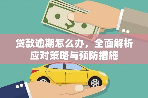 小金贷款逾期怎么办，全面解析应对策略与预防措施