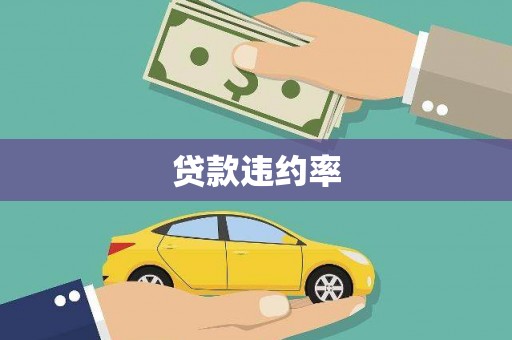 小金贷款违约率