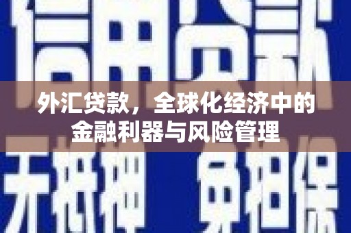 小金外汇贷款，全球化经济中的金融利器与风险管理