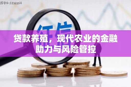 小金贷款养殖，现代农业的金融助力与风险管控