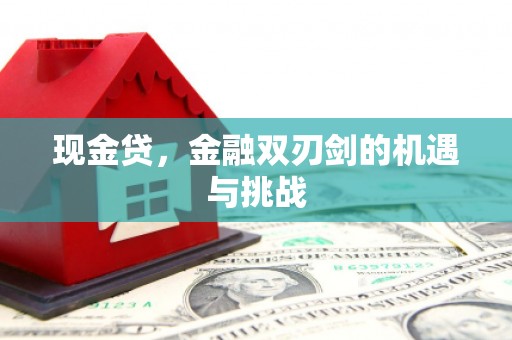 小金现金贷，金融双刃剑的机遇与挑战