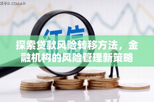 小金探索贷款风险转移方法，金融机构的风险管理新策略
