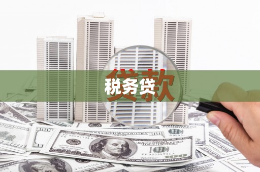小金税务贷