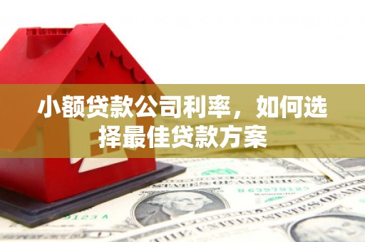 小金小额贷款公司利率，如何选择最佳贷款方案