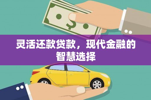 小金灵活还款贷款，现代金融的智慧选择