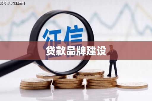 小金贷款品牌建设