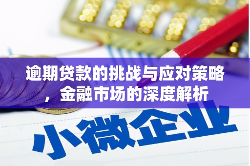 小金逾期贷款的挑战与应对策略，金融市场的深度解析