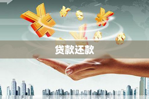 小金贷款还款