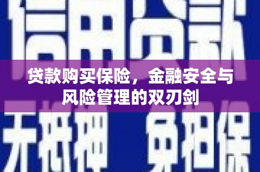 小金贷款购买保险，金融安全与风险管理的双刃剑