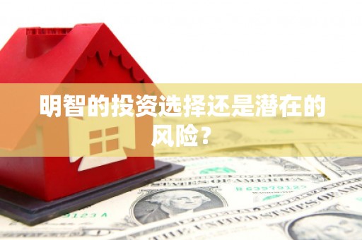 小金明智的投资选择还是潜在的风险？
