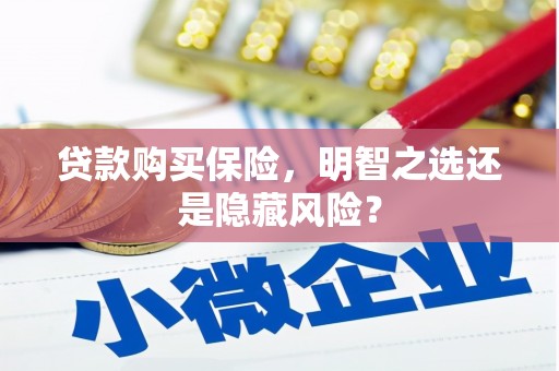 小金贷款购买保险，明智之选还是隐藏风险？