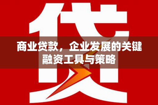 小金商业贷款，企业发展的关键融资工具与策略