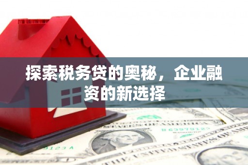 小金探索税务贷的奥秘，企业融资的新选择