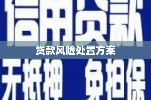 小金贷款风险处置方案