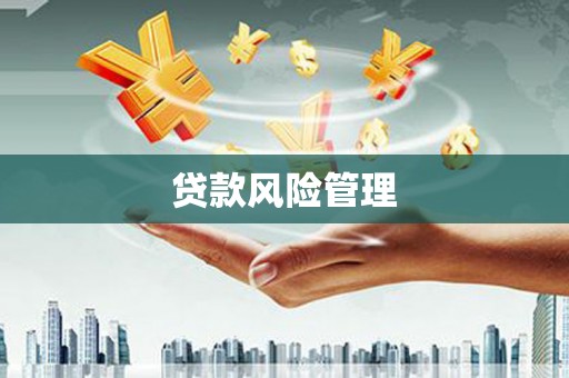 小金贷款风险管理