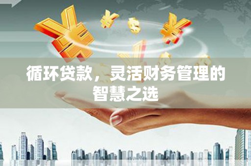 小金循环贷款，灵活财务管理的智慧之选