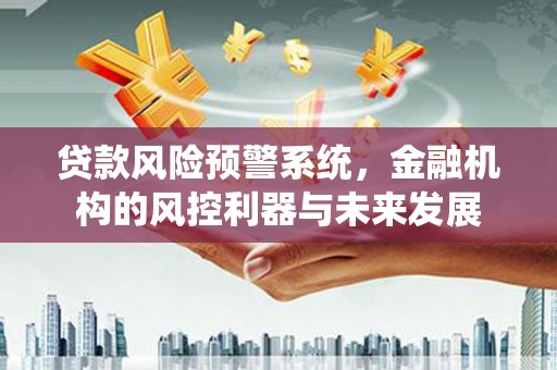 小金贷款风险预警系统，金融机构的风控利器与未来发展