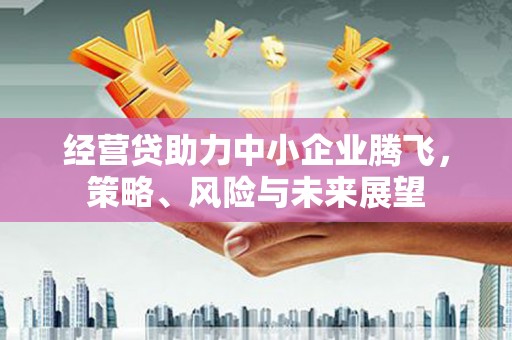 小金经营贷助力中小企业腾飞，策略、风险与未来展望