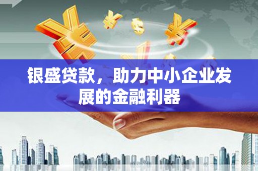 小金银盛贷款，助力中小企业发展的金融利器
