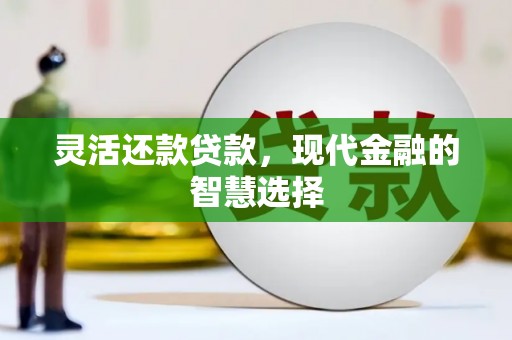 小金灵活还款贷款，现代金融的智慧选择