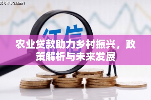 小金农业贷款助力乡村振兴，政策解析与未来发展