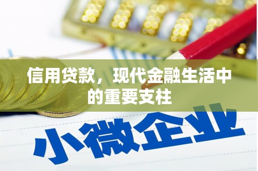 小金信用贷款，现代金融生活中的重要支柱