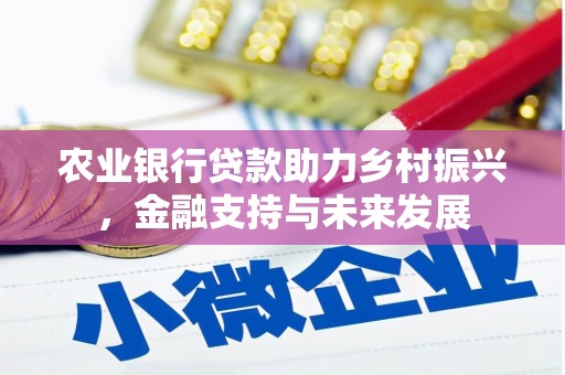 小金农业银行贷款助力乡村振兴，金融支持与未来发展