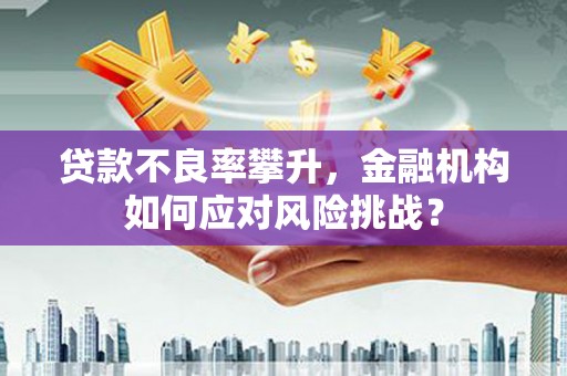 小金贷款不良率攀升，金融机构如何应对风险挑战？