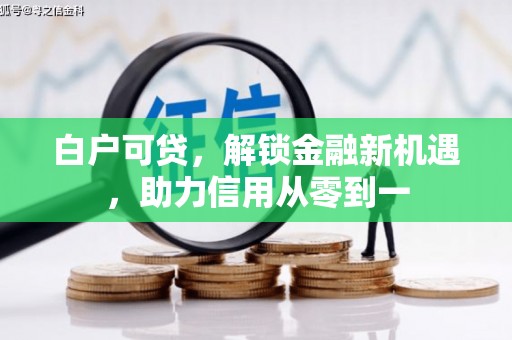 小金白户可贷，解锁金融新机遇，助力信用从零到一