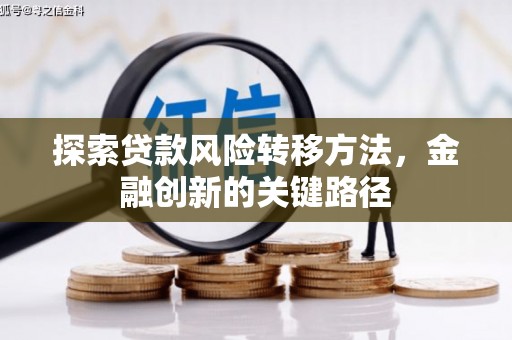 小金探索贷款风险转移方法，金融创新的关键路径