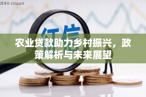 小金农业贷款助力乡村振兴，政策解析与未来展望