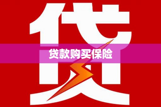 小金贷款购买保险