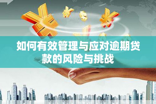 小金如何有效管理与应对逾期贷款的风险与挑战