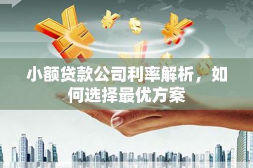 小金小额贷款公司利率解析，如何选择最优方案