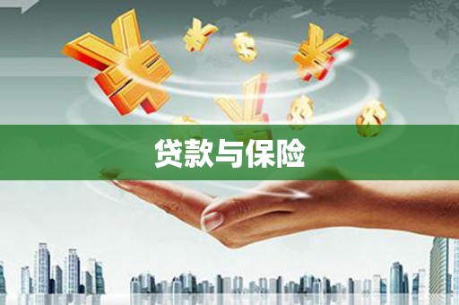 小金贷款与保险