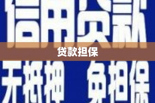 小金贷款担保