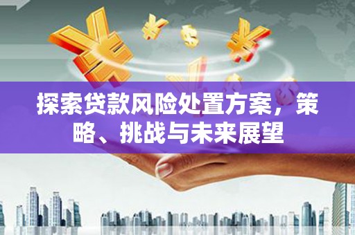 小金探索贷款风险处置方案，策略、挑战与未来展望