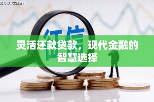 小金灵活还款贷款，现代金融的智慧选择