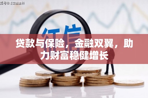 小金贷款与保险，金融双翼，助力财富稳健增长