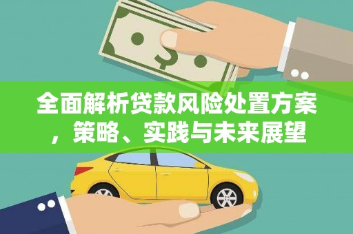 小金全面解析贷款风险处置方案，策略、实践与未来展望