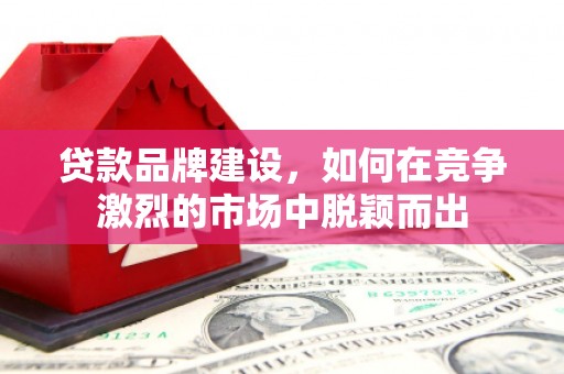 小金贷款品牌建设，如何在竞争激烈的市场中脱颖而出