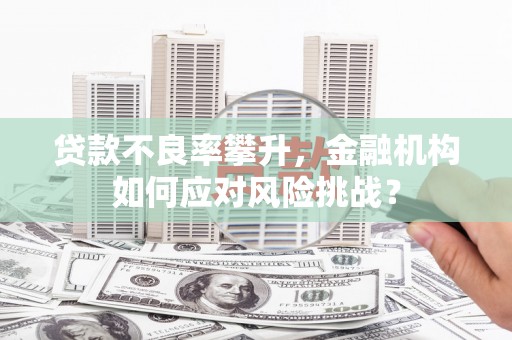 小金贷款不良率攀升，金融机构如何应对风险挑战？