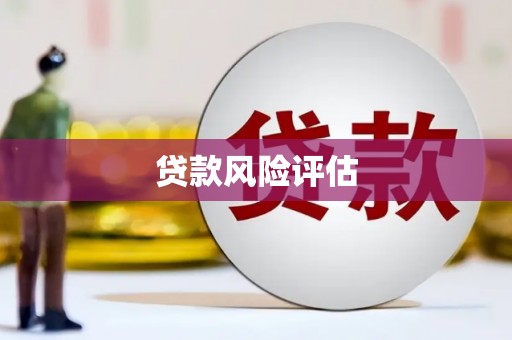 小金贷款风险评估