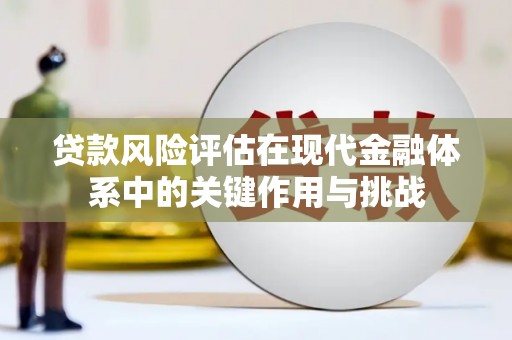 小金贷款风险评估在现代金融体系中的关键作用与挑战