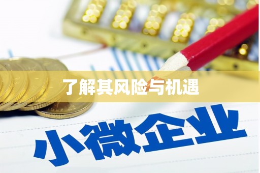 小金了解其风险与机遇
