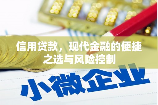 小金信用贷款，现代金融的便捷之选与风险控制