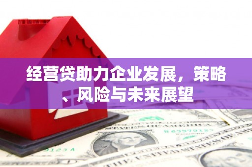 小金经营贷助力企业发展，策略、风险与未来展望