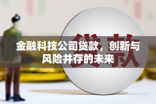 小金金融科技公司贷款，创新与风险并存的未来